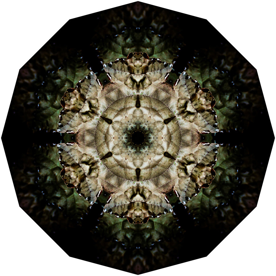 Kaleidoscope 10