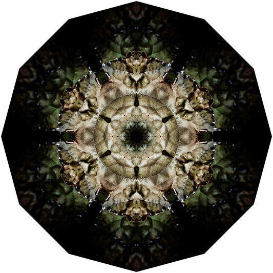 Kaleidoscope 10
