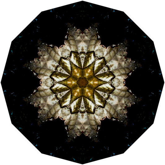 Kaleidoscope 11
