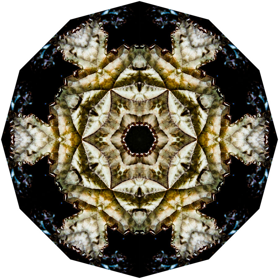 Kaleidoscope 12