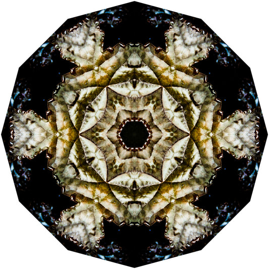 Kaleidoscope 12