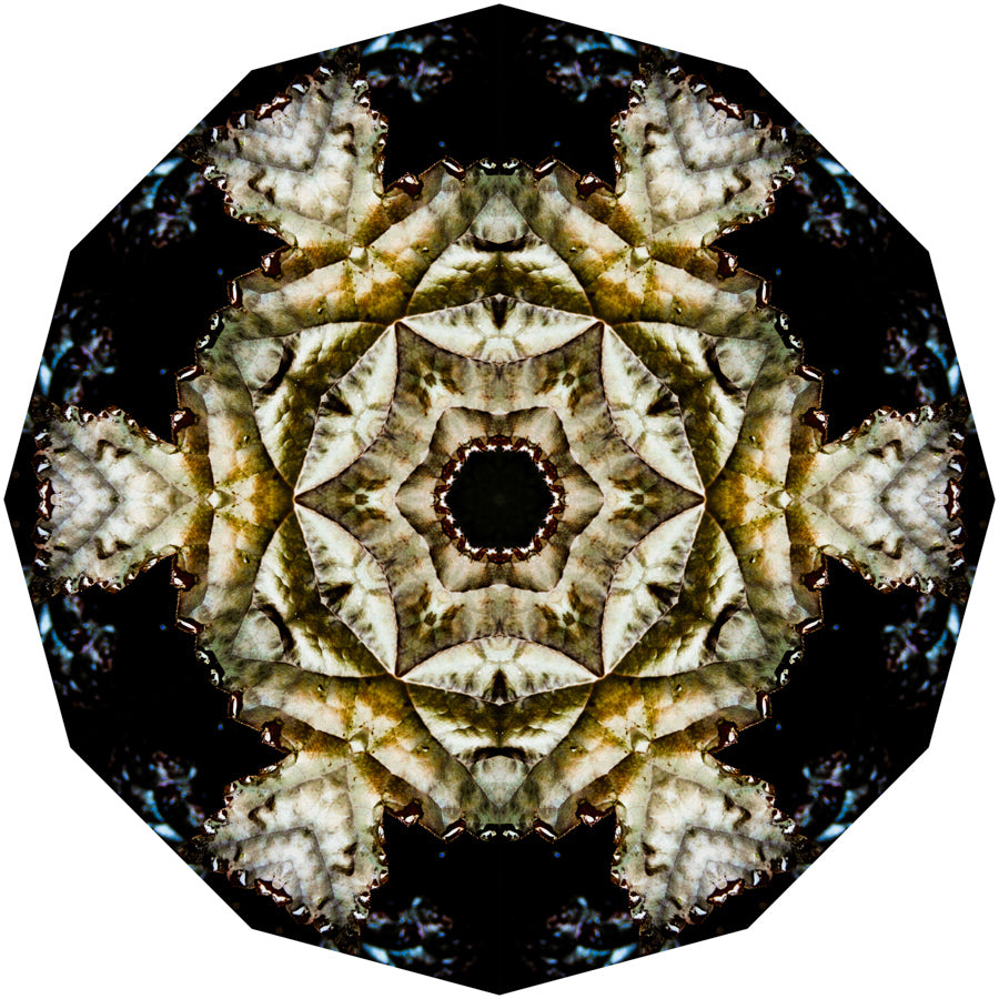 Kaleidoscope 12