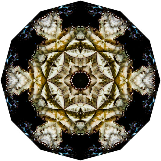 Kaleidoscope 12