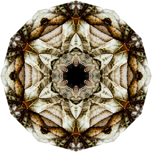 Kaleidoscope 13