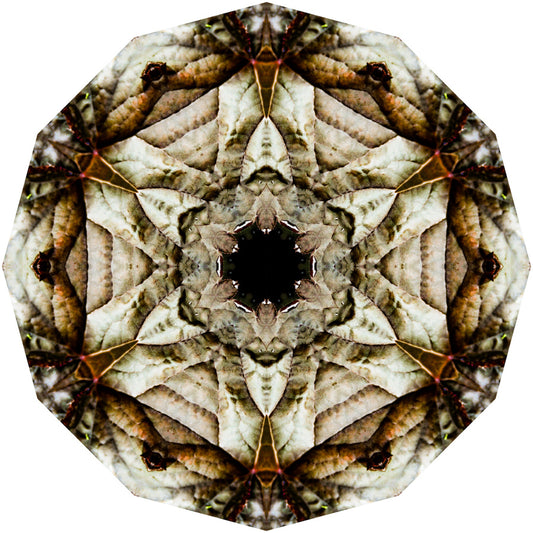 Kaleidoscope 13