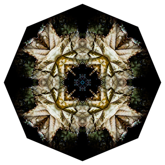 Kaleidoscope 14