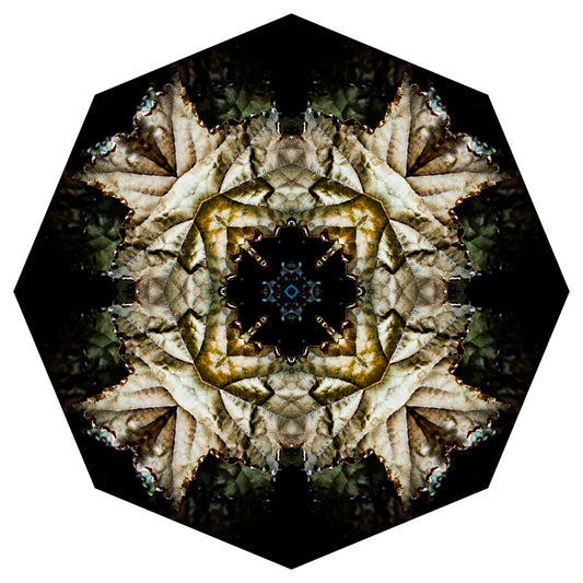 Kaleidoscope 14