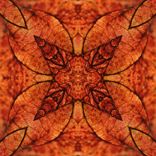 Kaleidoscope 18