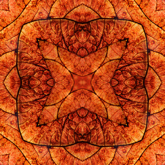 Kaleidoscope 19