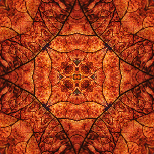 Kaleidoscope 20