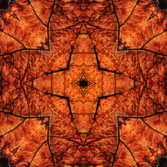 Kaleidoscope 21