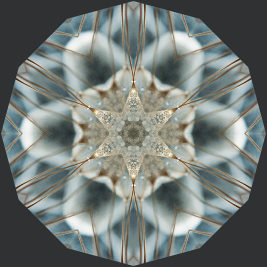Kaleidoscope 23