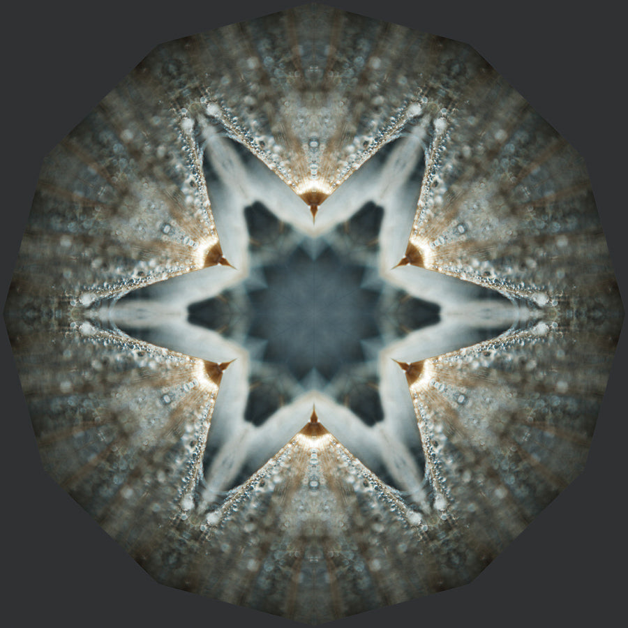 Kaleidoscope 25