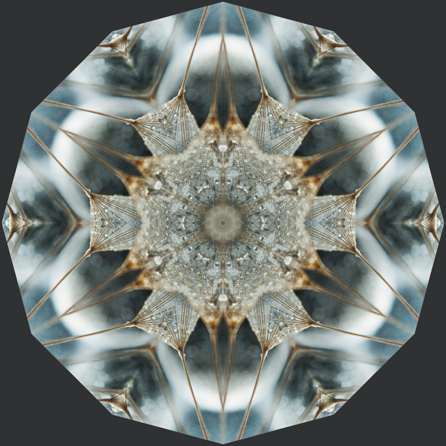 Kaleidoscope 29