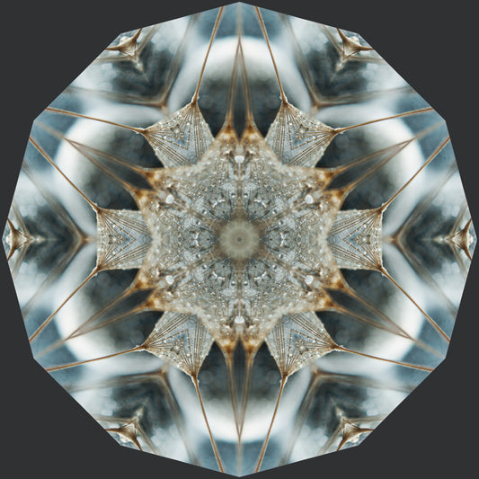 Kaleidoscope 29