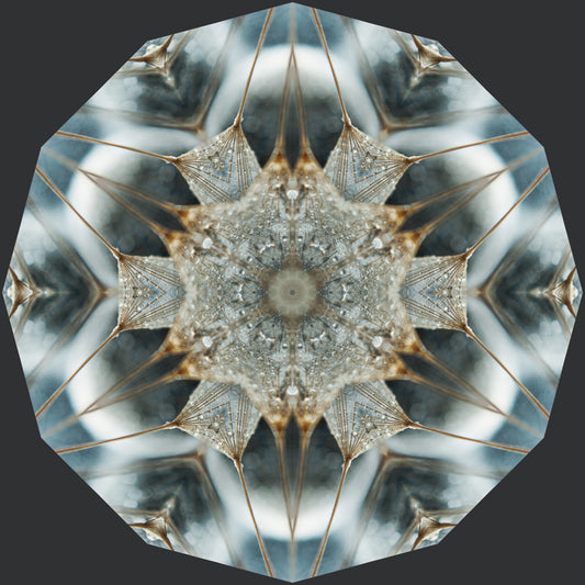Kaleidoscope 29