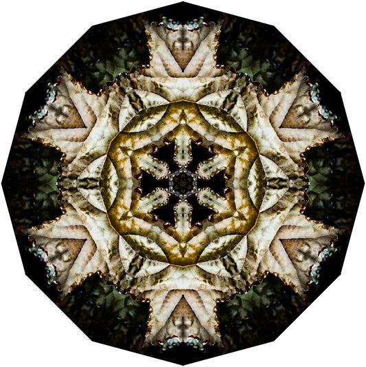 Kaleidoscope 2