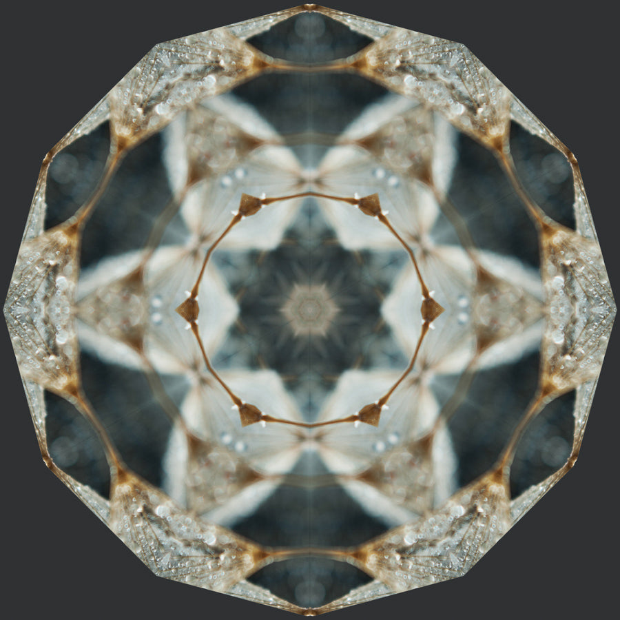 Kaleidoscope 31