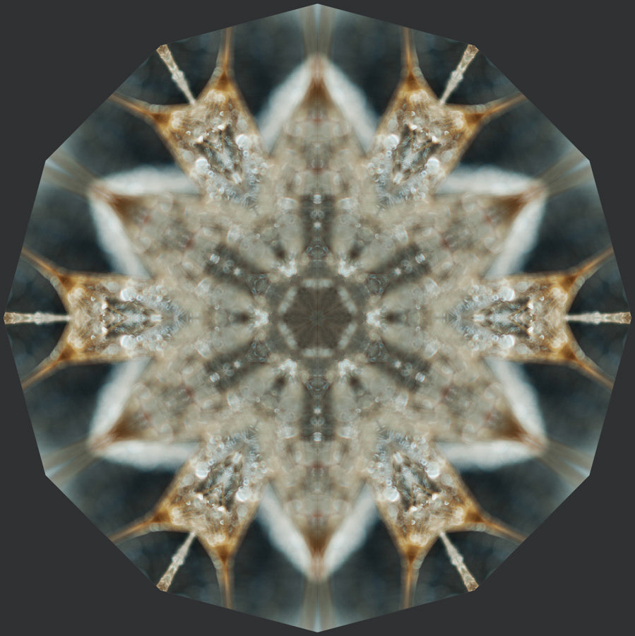 Kaleidoscope 37
