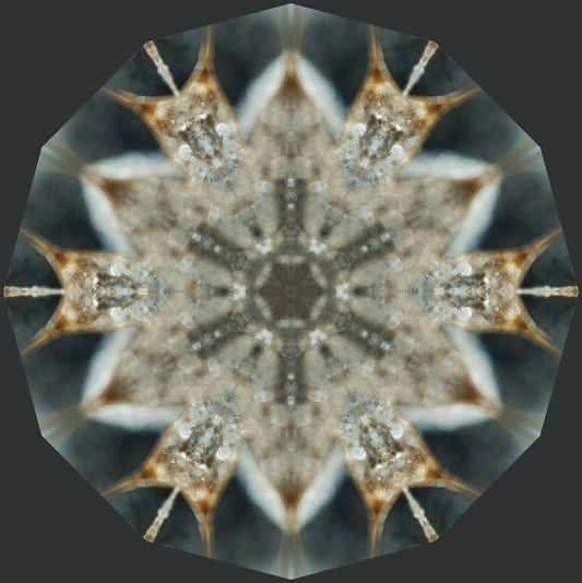 Kaleidoscope 37