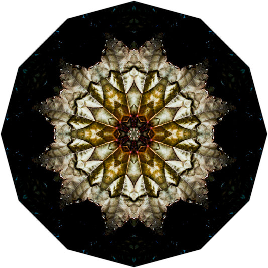 Kaleidoscope 3