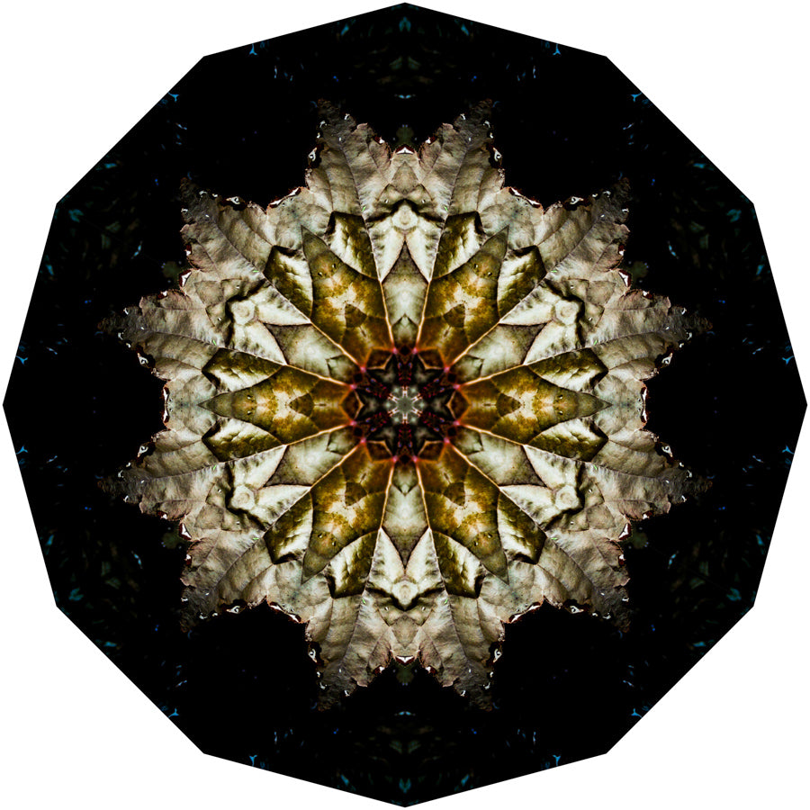 Kaleidoscope 3