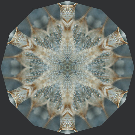 Kaleidoscope 41