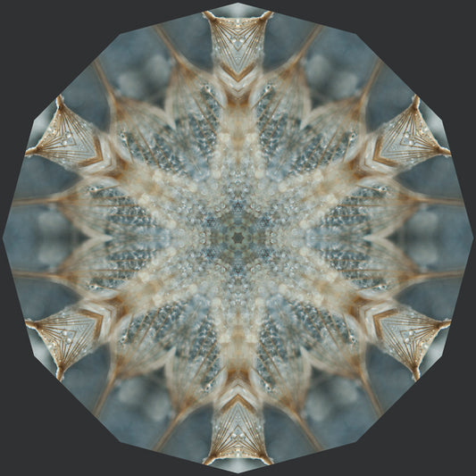 Kaleidoscope 41