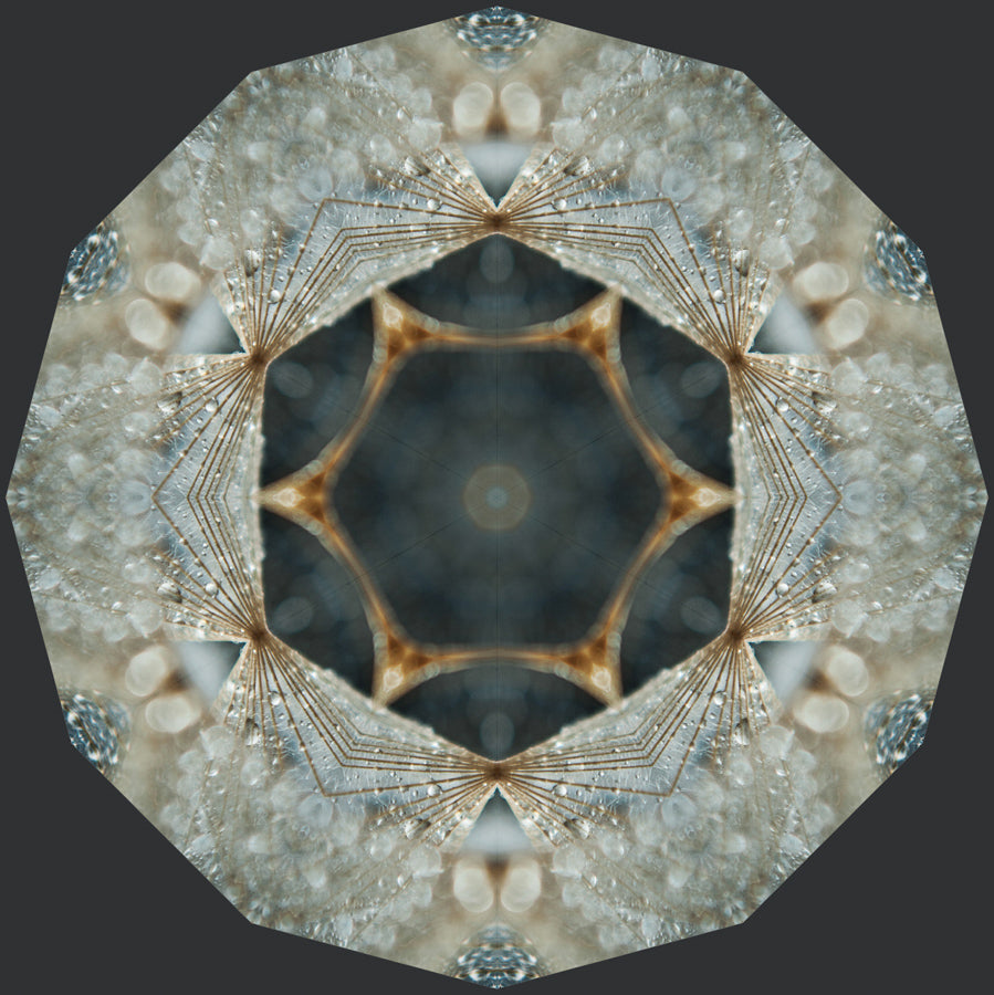 Kaleidoscope 43