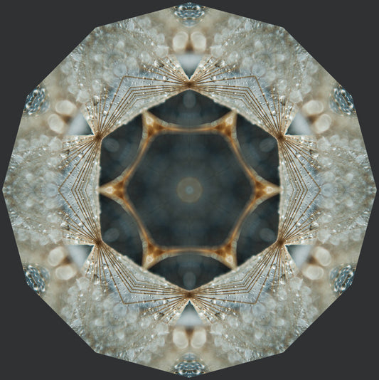 Kaleidoscope 43