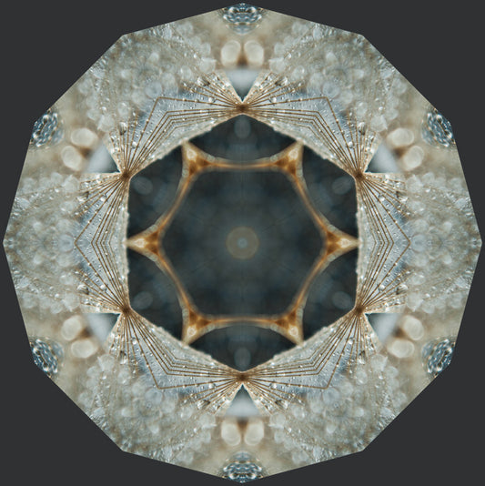 Kaleidoscope 43