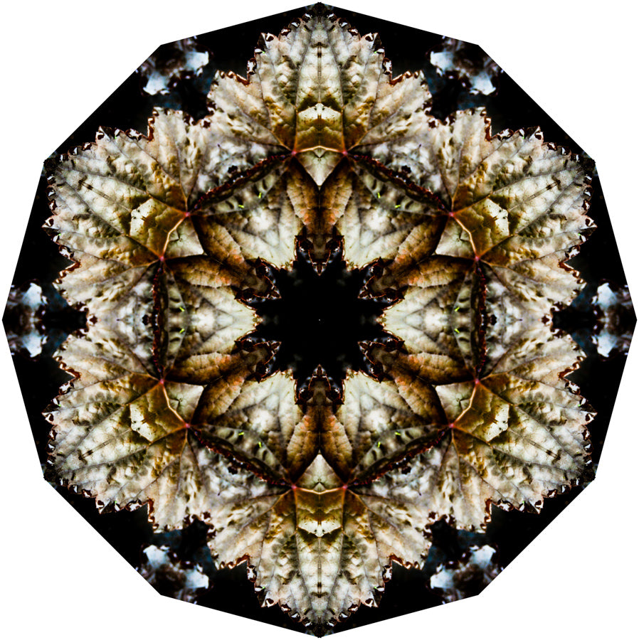 Kaleidoscope 4