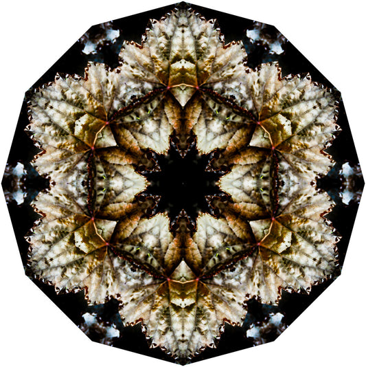 Kaleidoscope 4