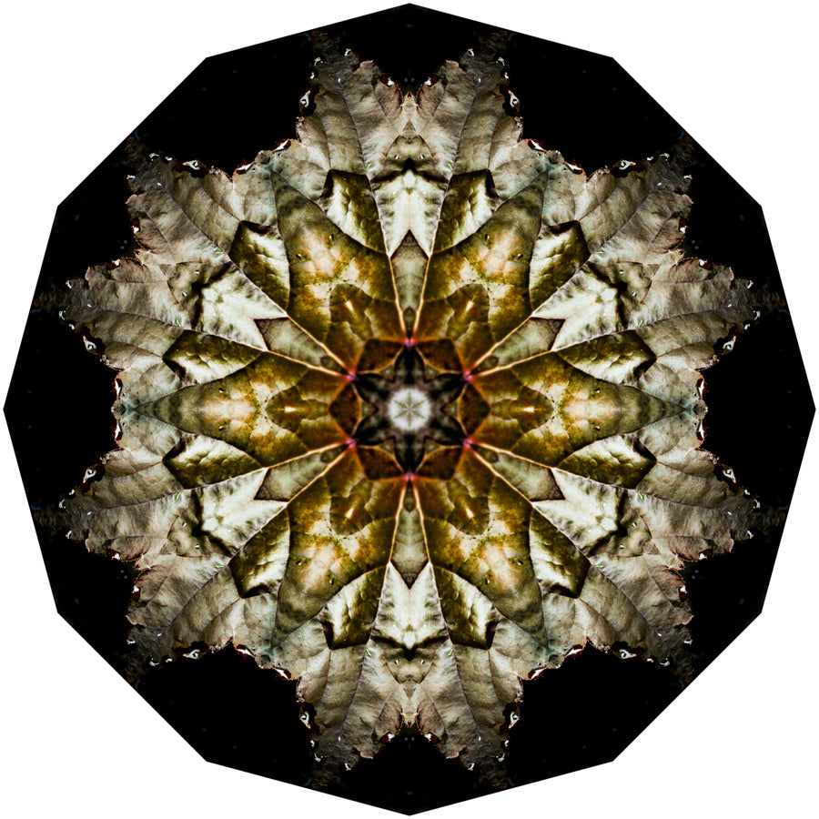 Kaleidoscope 5