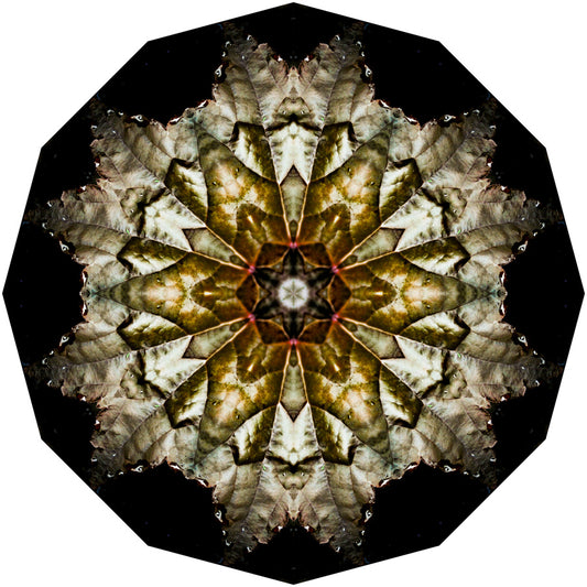 Kaleidoscope 5