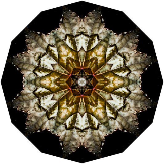 Kaleidoscope 5