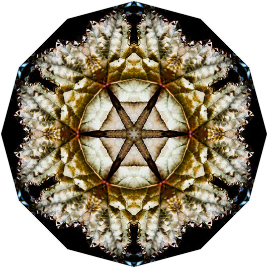 Kaleidoscope 6