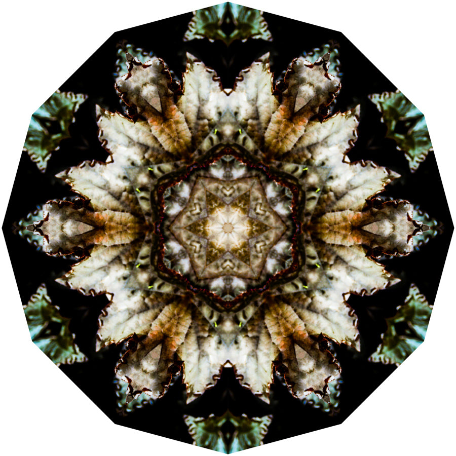 Kaleidoscope 7