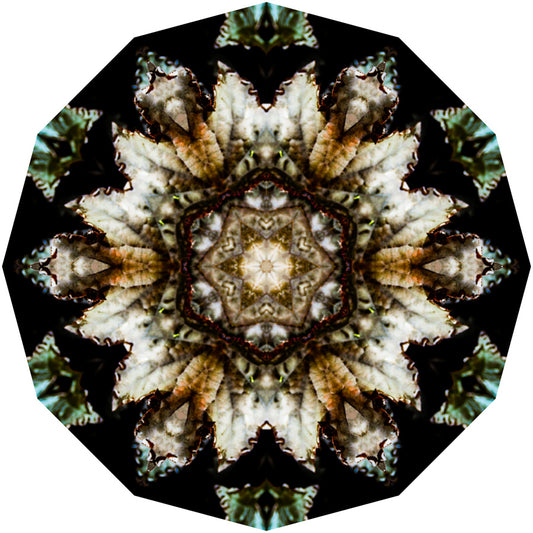 Kaleidoscope 7