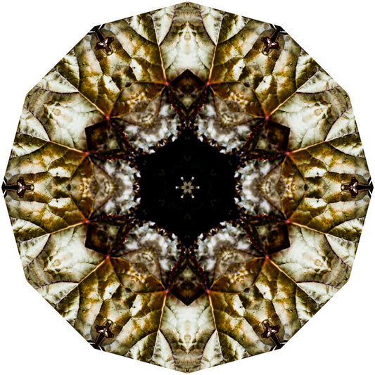 Kaleidoscope 8