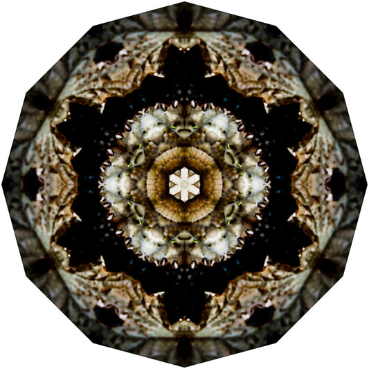 Kaleidoscope 9