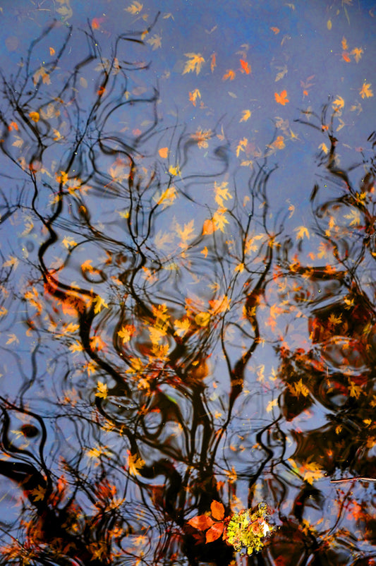 Leaves 2