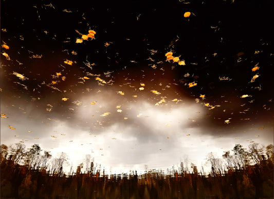 Leaves 7