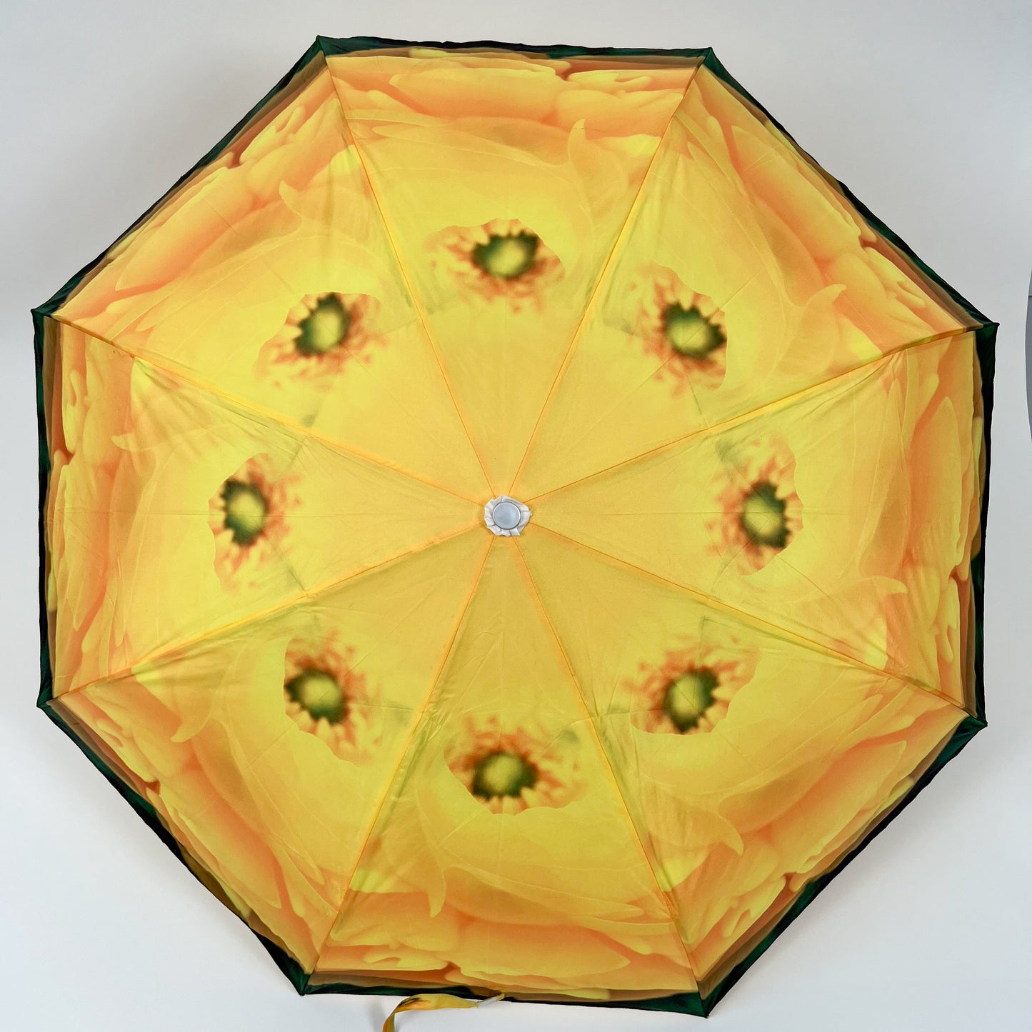 Yellow Ranunculus Umbrella
