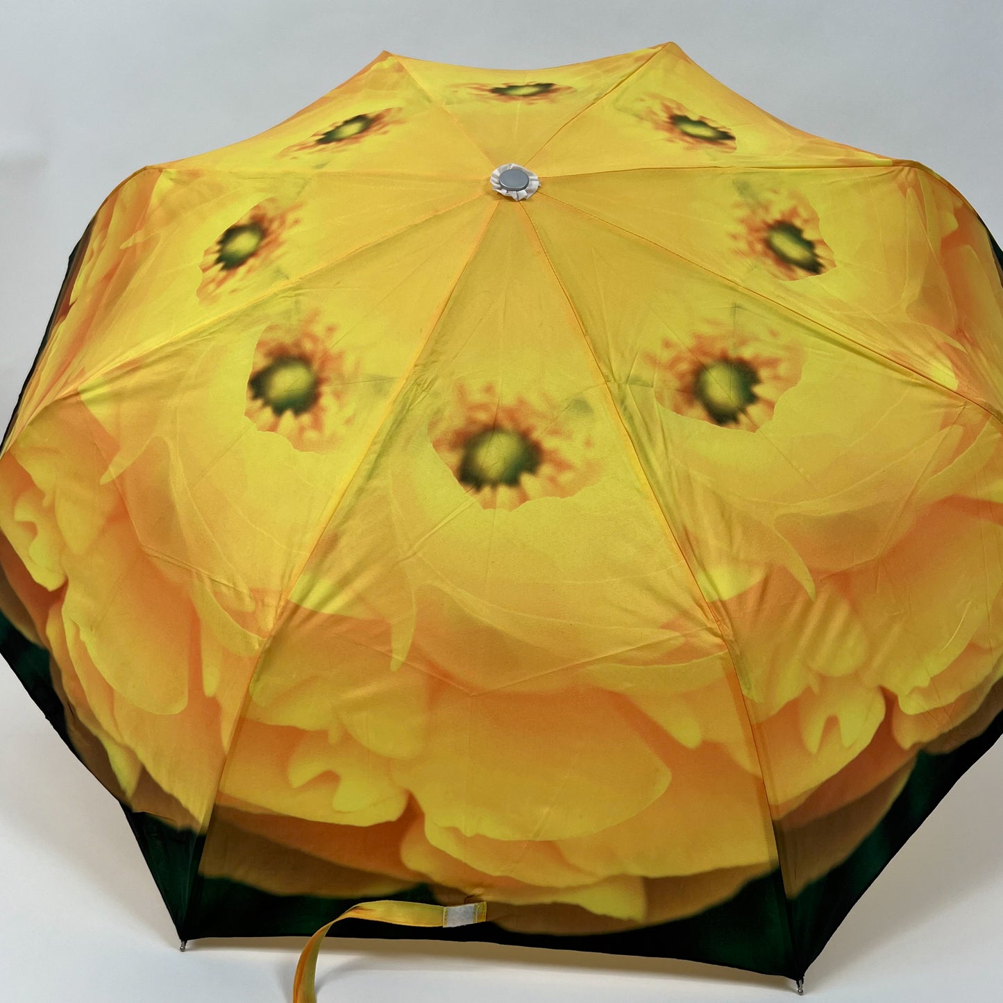 Yellow Ranunculus Umbrella