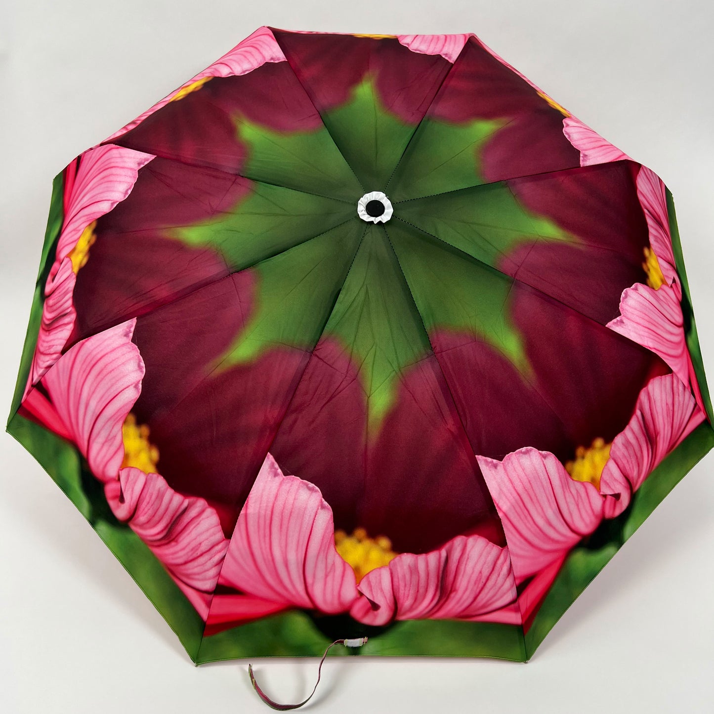 Pink Cosmos Umbrella