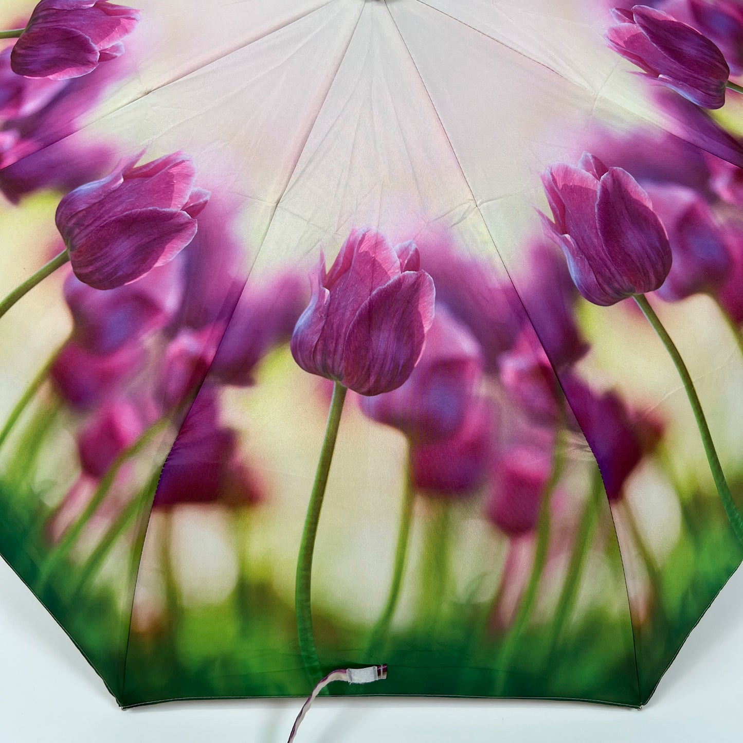 Purple Tulips Umbrella 2