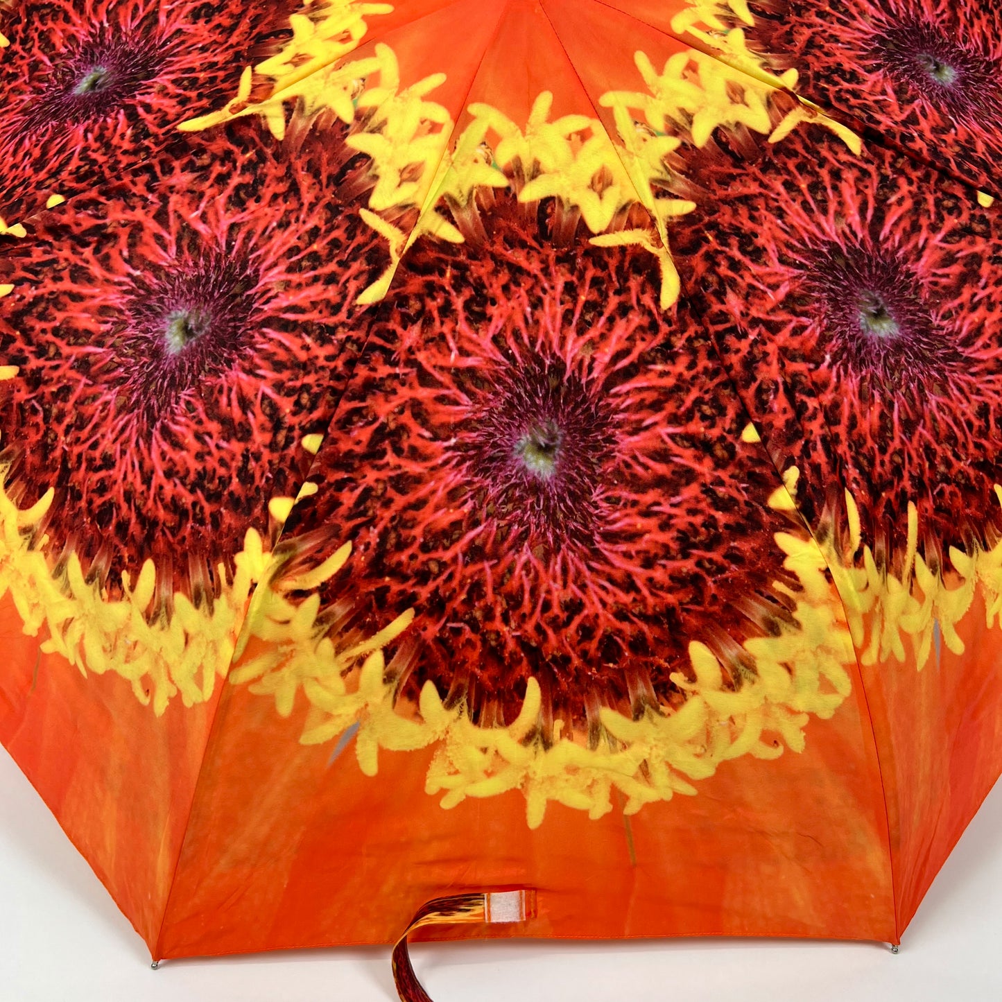 Orange Zinnia Umbrella