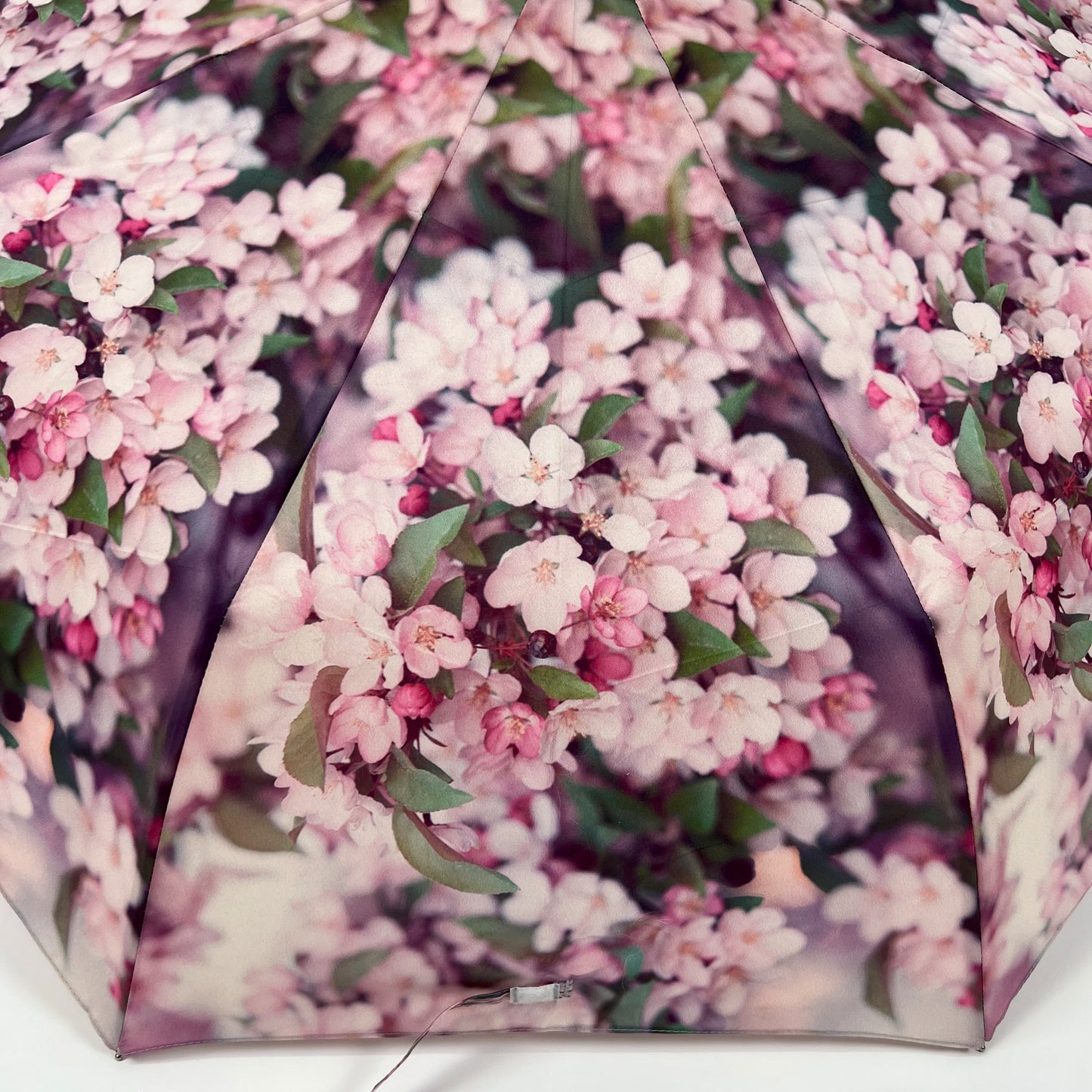 Apple Blossoms Umbrella