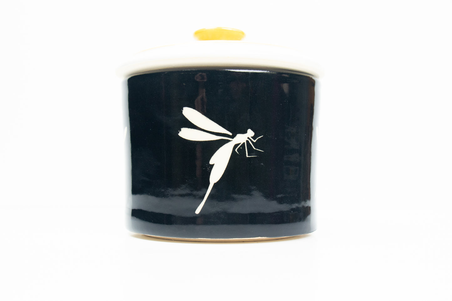Dragonfly Jar